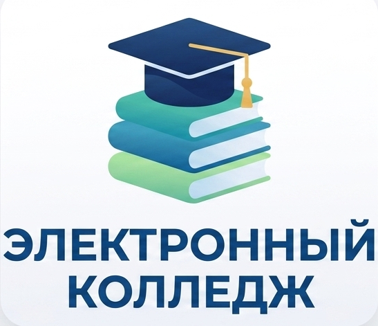 электронный колледж 07
